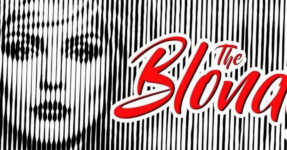 The Blondie Story - Reine Beau Anderson Dudley & The Night Owl Band · Blauwe Kei Theater aan de Noordkade, Veghel · vr 26 feb 2027
