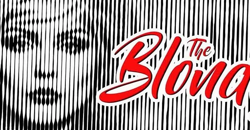 The Blondie Story - Reine Beau Anderson Dudley & The Night Owl Band · Blauwe Kei Theater aan de Noordkade, Veghel · vr 26 feb 2027