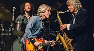 The Dire Straits Experience · Wilminktheater en Muziekcentrum Enschede, Enschede · Thu, 5 Nov 2026