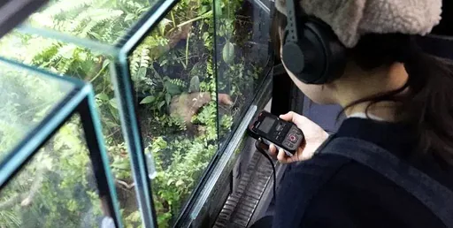 The Future Sound of Nature & Community Kitchen · TestTafel, Amsterdam · za 24 okt 2026
