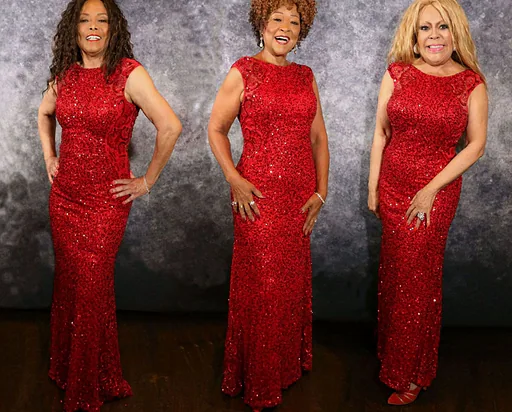 The Three Degrees (US) · De Cacaofabriek, Helmond · vr 18 sep 2026