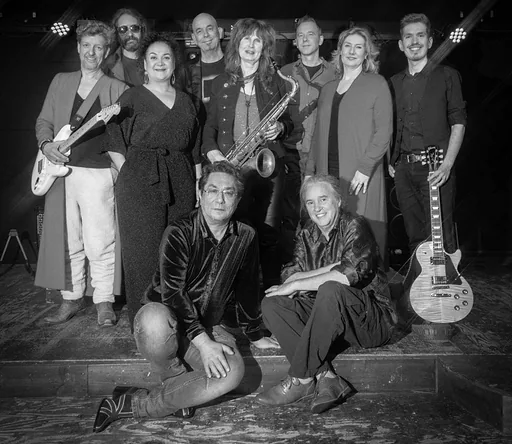 THIN WHITE DUKE: TRIBUTE TO DAVID BOWIE · De Kroepoekfabriek, Vlaardingen · za 17 okt 2026