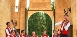 Tzigane: Zigeunermuziek Kapel. · Artishock, Soest · Sun, 15 Nov 2026