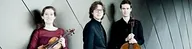 Van Baerle Trio - Beethoven, Mendelssohn, Boulanger - Kamermuziek · Edesche Concertzaal, Ede · za 28 nov 2026