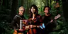Vrienden van Vroeger Band - Verdronken Vlinder (try-out) · Kennemer Theater, Beverwijk · wo 13 jan 2027