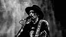 Waylon · Theater de Willem, Papendrecht · za 21 nov 2026