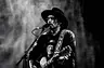 Waylon · Cpunt (formerly Schouwburg De Meerse), Hoofddorp · wo 11 nov 2026