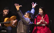 Zambomba Fiësta Flamenca: de magie van Kerstmis met de passie van flamenco · Instituto Cervantes, Utrecht · Fri, 11 Dec 2026