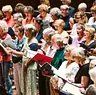 Zingdag Zwolle · Schouwburg Odeon, Zwolle · za 17 okt 2026