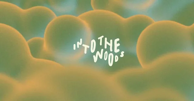 Into the Woods Amersfoort 2026 — achtergrondafbeelding