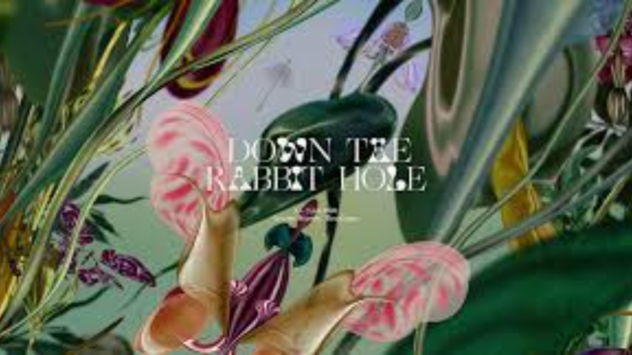 Down the rabbit hole